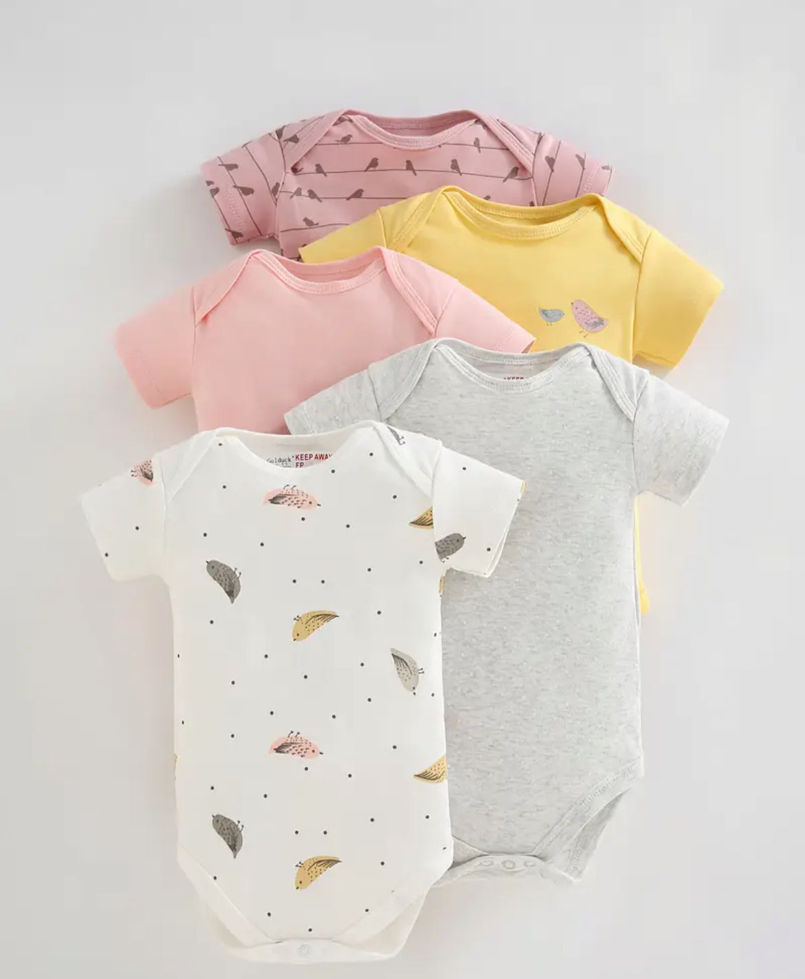 👶 Lot de 5 Bodies Bébé Fille Coton Doux  – Confort et Style Quotidien (PRÉCOMMANDE)